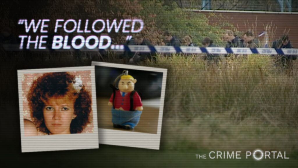 Thumbnail for the Shona Stevens investigation