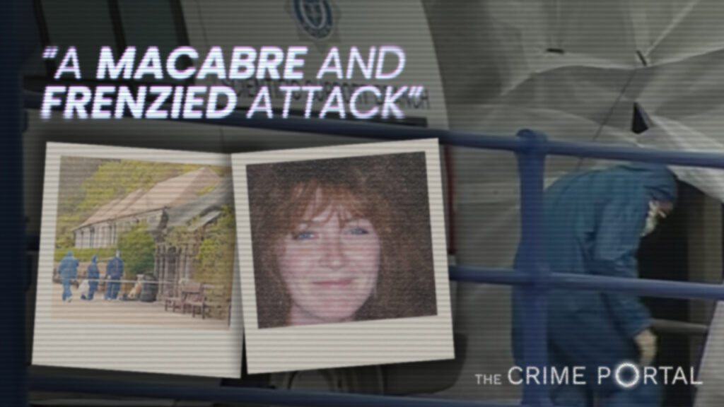 Thumbnail for the Jennifer Kiely investigation