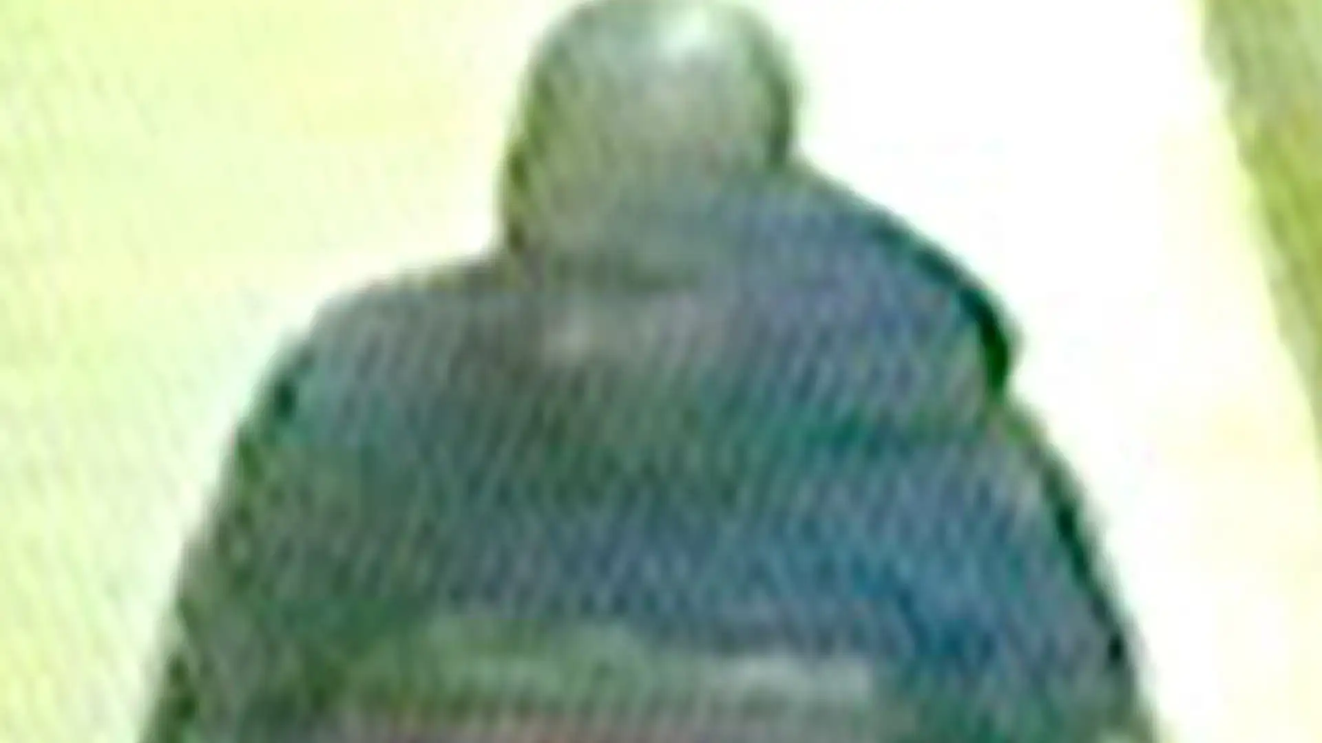 Play CCTV footage of the suspect in the Camille Gordon investigation